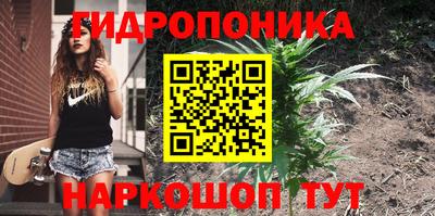 дмт Бузулук
