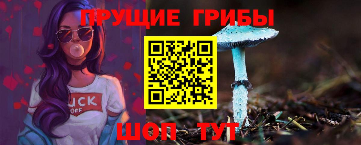 Галлюциногенные грибы мухоморы Корсаков